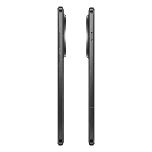 OnePlus 13 12/256Gb Dual nanoSim Черный (CN)