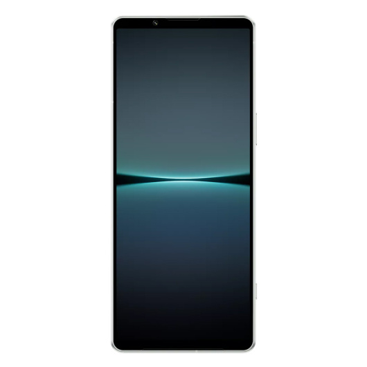 Sony Xperia 1 IV 12/512Gb Global Белый