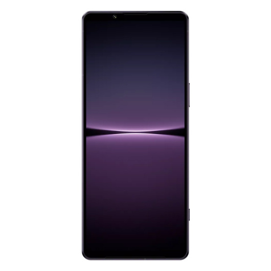 Sony Xperia 1 IV 12/256Gb Global Фиолетовый