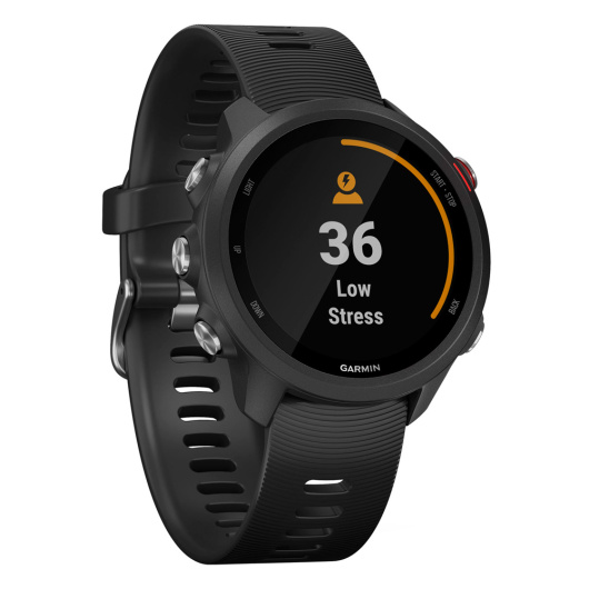 Умные часы Garmin Forerunner 245 Music Черные